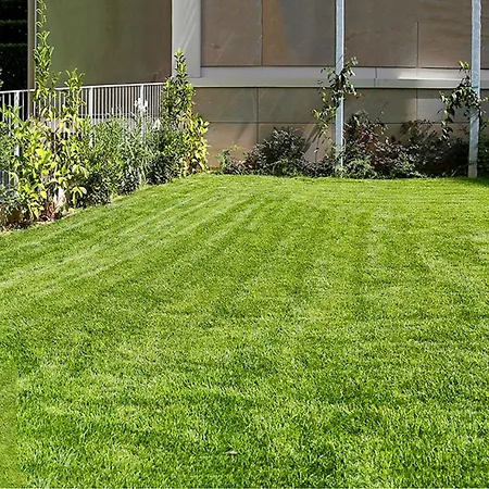 Ampio Con Giardino E Box Appartement